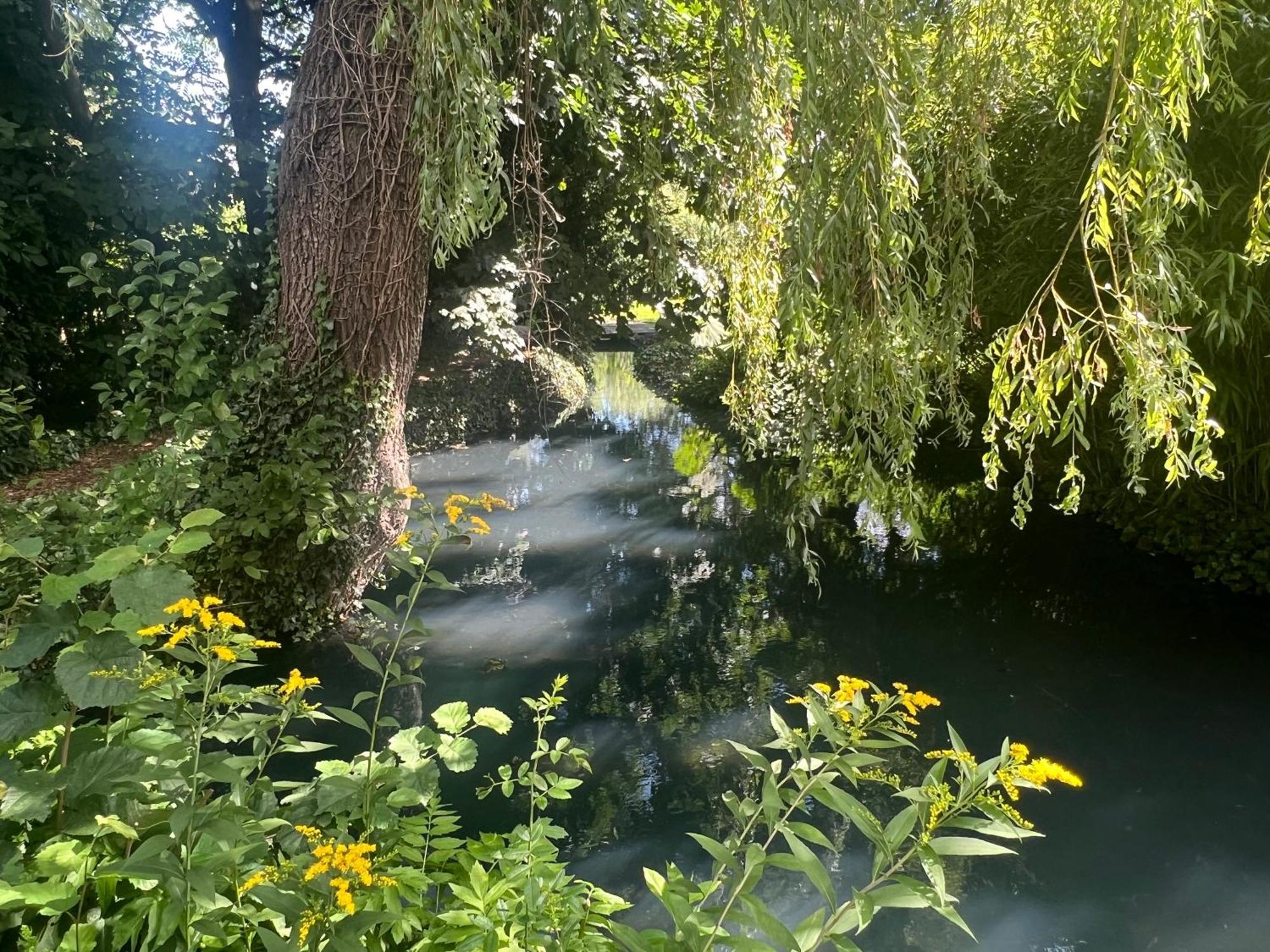 B&B Lekkerkerk Exteriör bild